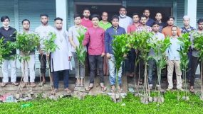 বিশ্বনাথে দৌলতপুর ইউনিয়ন ছাত্রলীগের বৃক্ষরোপন কর্মসূচি