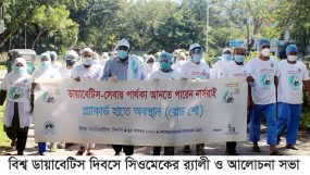 বিশ্ব ডায়াবেটিস দিবসে সিওমেকের র‌্যালী ও আলোচনা সভা
