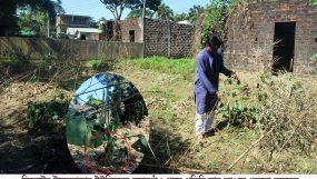 শহরতলী কুমারগাঁও গ্রামে প্রতিহিংসার আগুনে পুড়লো লাউ গাছ!