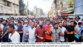 বিএনপির বিক্ষোভ সমাবেশে জেলা ও মহানগর ছাত্রদলের যোগদান