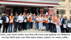 ধানের শীষের বিজয়ের মধ্য দিয়ে জনগণের প্রত্যাশার প্রতিফল গঠবে : পাশা খন্দকার