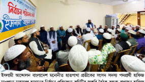 দেশ পরিচালনার জন্য হাতপাখা প্রতীকে ভোট দিন : মাহমুদুল হাসান