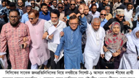 খন্দকার মুক্তাদিরের পক্ষে আরিফ সহ সাবেক জনপ্রতিনিধিদের গণসংযোগ