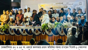 ধানের শীষের পক্ষে ব্যবসায়ীদের স্বতঃস্ফূর্ত প্রচারণা