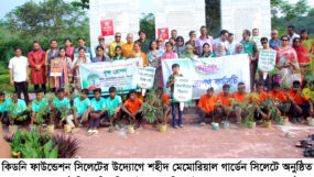 কিডনি ফাউন্ডেশন সিলেটের উদ্যোগে শহীদ মেমোরিয়াল গার্ডেনে বৃক্ষরোপন