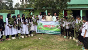 নকশী বাংলা ফাউন্ডেশনের উদ্যোগে মাসব্যাপী বৃক্ষরোপণ কর্মসূচি শুরু