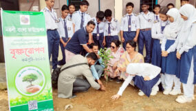 নকশী বাংলা ফাউন্ডেশনের মাসব্যাপী বৃক্ষরোপণ কর্মসূচি অব্যাহত
