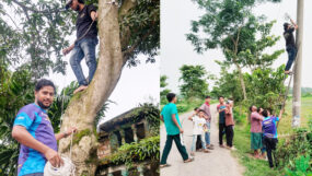 অগ্রগামী ইসলামী সমাজ কল্যাণ সংস্থার উদ্যোগে ল্যাম্পপোস্ট স্থাপন