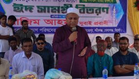 দেশের উন্নয়নে প্রবাসীদের অবদান অসামান্য : এমপি এমরান আহমদ চৌধুরী