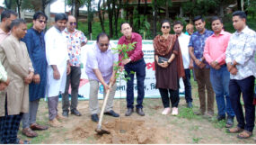 পরিবেশ রক্ষায় প্রধানমন্ত্রীর ২৫ কোটি বৃক্ষরোপণের মহাপরিকল্পনা ইতিহাসে মাইলফলক হয়ে থাকবে : আবুল কাহের চৌধুরী শামীম