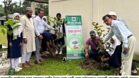 নকশী বাংলা ফাউন্ডেশন এর মাসব্যাপী বৃক্ষরোপণ