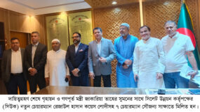 অন্যান্য ৭টি উন্নয়ন কর্তৃপক্ষের চেয়ারম্যানদেরও দায়িত্ব গ্রহণ