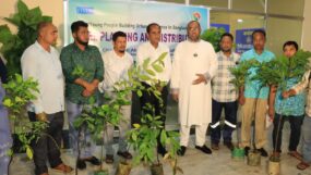 সিসিকের পাঁচ ওয়ার্ডে এক হাজার গাছের চারা বিতরণ
