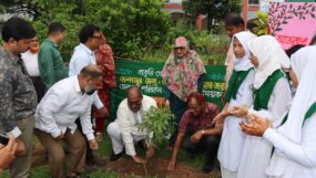 অগ্রগামী বালিকা উচ্চ বিদ্যালয় ও পাইলট উচ্চ বিদ্যালয়ে বৃক্ষরোপণ কর্মসূচি