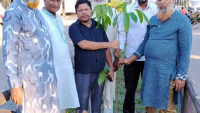 বন্ধণ সমাজ উন্নয়ন সংস্থার বৃক্ষরোপণ কর্মসূচি পালিত