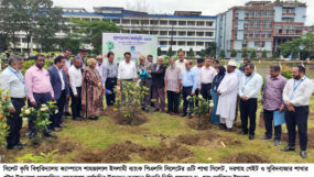 শাহজালাল ইসলামী ব্যাংকের বৃক্ষরোপণ কর্মসূচি