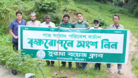 সুরমা বয়েজ ক্লাবের উদ্যোগে বৃক্ষরোপণ