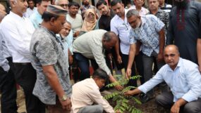 বৃক্ষরোপণ ও চারা বিতরণ অনুষ্ঠানে সিসিক প্রশাসক
