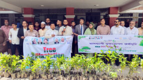 রোটারী ক্লাব অব সিলেট সিনার্জির বৃক্ষরোপণ কর্মসূচি অনুষ্ঠিত