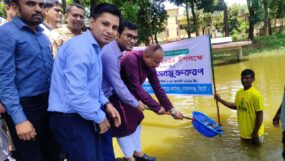 মৎস্য উৎপাদনের মাধ্যমে গোলাপগঞ্জ ও বিয়ানীবাজারকে সমৃদ্ধ করার সুযোগ রয়েছে : এমপি এমরান আহমদ চৌধুরী