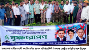 সিলেট মহানগর বিএনপির বৃক্ষরোপণ কর্মসূচি বিএনপির ৪৮ বছরের ইতিহাস ত্যাগ, সংগ্রাম ও জনগণের পাশে থাকার ইতিহাস : নাসিম হোসাইন