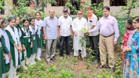 দেশের উন্নয়ন ও মানুষের কল্যাণে সরকার কাজ করছে : বিএনপি নেতা মাহবুব চৌধুরী