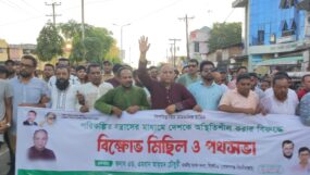দেশকে অস্থিতিশীল করার ষড়যন্ত্র জিয়ার সৈনিকদের রুখে দিতে হবে : এমপি এমরান আহমদ চৌধুরী