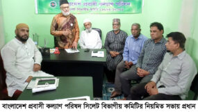 প্রবাসীরা দেশের অর্থনীতিতে গুরুত্বপূর্ণ অবদান রাখছেন : আতাউর রহমান পীর