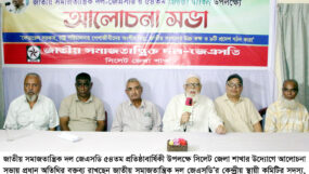 অংশীদারিত্বের গণতন্ত্র প্রতিষ্ঠার মাধ্যমে দেশের সংকট নিরসন সম্ভব : অধ্যাপক শফিক