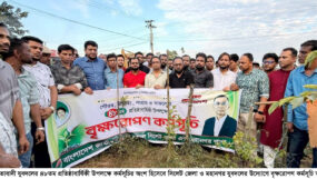 যুবদলের ৪৮তম প্রতিষ্ঠাবার্ষিকীতে সিলেট জেলা ও মহানগর যুবদলের বৃক্ষরোপণ কর্মসূচি পালন