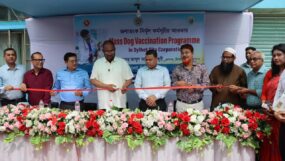 সিলেট নগরীতে কুকুরের টিকাদান কার্যক্রম শুরু